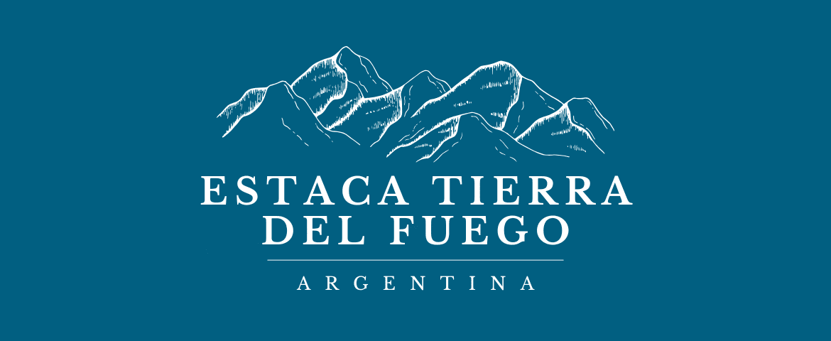 logo Estaca TDF