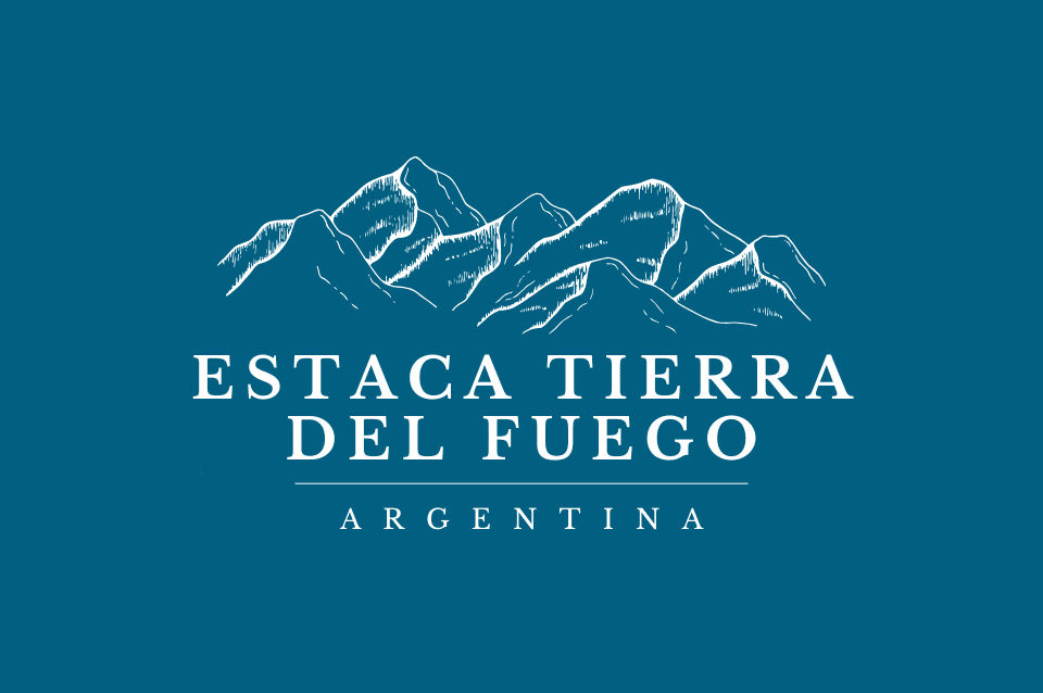 logo Estaca TDF